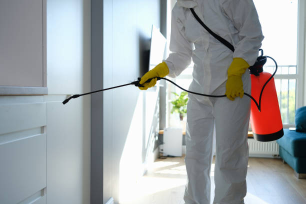 Best Organic or Eco-Friendly Pest Control  in Doniphan, MO